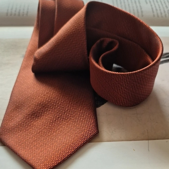 TED LAOIDUS PARIS RUSTY ORANGE Tie Luxurious Accessory - Picture 8 of 9
